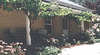 Woodbridge Bed And Breakfast