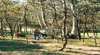 Roachdale Reserve