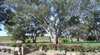 St Hallett Wines