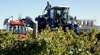 Ballast Stone Estate Wines Pty Ltd