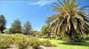 Ada Ryan Gardens