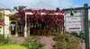 Marienberg and Fern Hill Estate Cellar Door