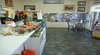 Orange Tree Giftmania
