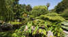 Adelaide Himeji Garden