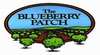 The Blueberry Patch