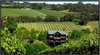 Geoff Hardy Wines