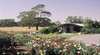 Balnaves of Coonawarra