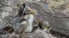 Wallaby Tracks Adventure Tours