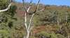 Black Hill Conservation Park