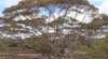 Brookfield Conservation Park