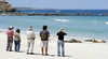 Seal Bay Conservation Park
