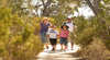 Lavande of Callington