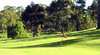 Kenton Valley Super Par Three Golf Course