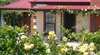 Wine And Roses Bed And Breakfast