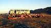Adventure Tours Australia