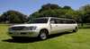 White Orchid Limousine Service