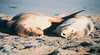 Budget and Adventure Tours