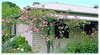 Koonara Cottage