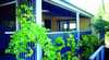 Lavender Blue Country Apartments