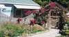 Dunes Cottage