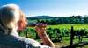 Ashton Hills Vineyard