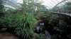 Bicentennial Conservatory