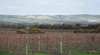 Mclaren Vale Premium Wines