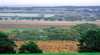 Kellermeister Wines