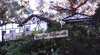 Fairyland Village