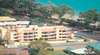 Alexander Luxury Apartments