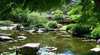 Brisbane Botanic Gardens Mount Coot-tha