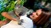 Billabong Sanctuary