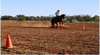 Best of the West Stockman