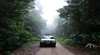 Wait-a-While Rainforest Tours