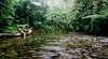Daintree Heritage Lodge and Spa