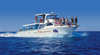 Mantaray Charters