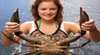 Catch A Crab At Birds Bay Oyster Farm