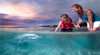 Tangalooma Dolphin Feeding