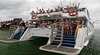 Dolphin Wild - Island Cruises