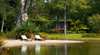 Lake Weyba Cottages