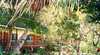 Hook Island Wilderness Resort