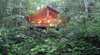 The Canopy Rainforest Tree Houses and Wildlife Sanctuary