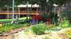 Mystery Mountain Farmstay