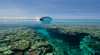 Pro Dive Cairns