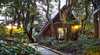The Mouses House
