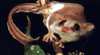 Carrowong Fauna Sanctuary