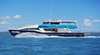 Tasman Venture Whale Watching