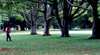 Queens Park In Toowoomba