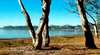 Lake Broadwater Conservation Park