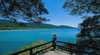 Tropical Horizons Tours
